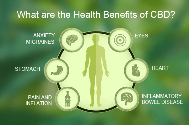 What Is Cbd Everything You Need To Know About Cbd