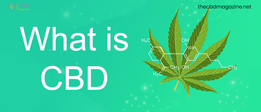 An Expert Guide To CBDs: Scientific Evidence, Advantages, Products And ...