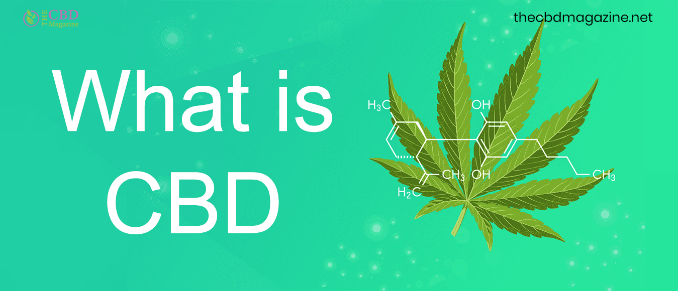 What Is Cbd Made Out Of