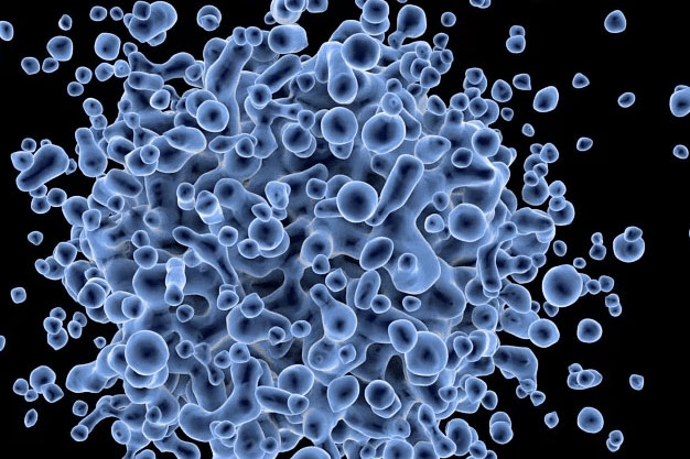 Cell Migration