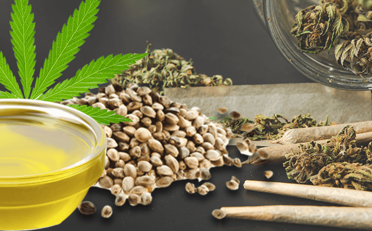 How to Make CBD Oil