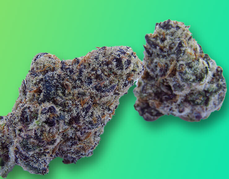 Lava Cake Strain