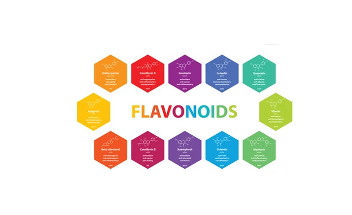 Flavonoids