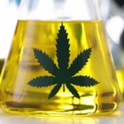 How To Make CBD Oil