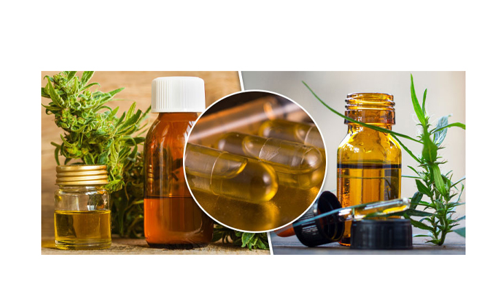 Olive Oil CBD Extraction