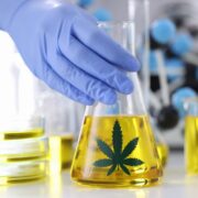 tetrahydrocannabinolic acid