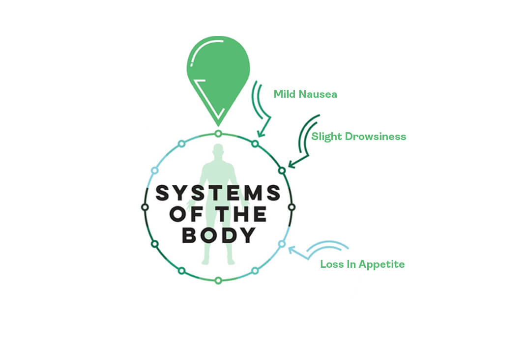 Side Effects Of CBD Butter