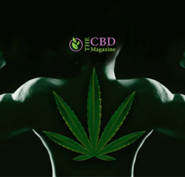 How Long Does Weed Stay In The System Of An Athlete