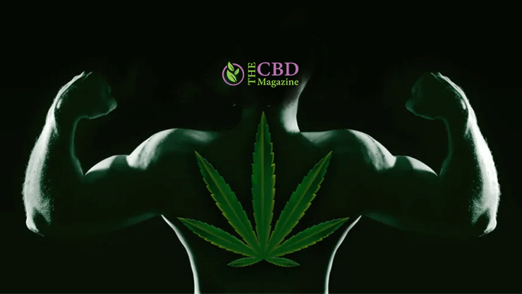 How Long Does Weed Stay In The System Of An Athlete