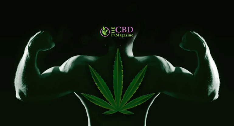 How Long Does Weed Stay In The System Of An Athlete