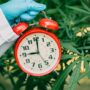 best cbd for sleep