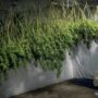 How To Dry Weed