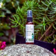 What You Should Know About CBD Hand Sanitizer in 2021