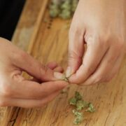 how to grind weed without a grinder