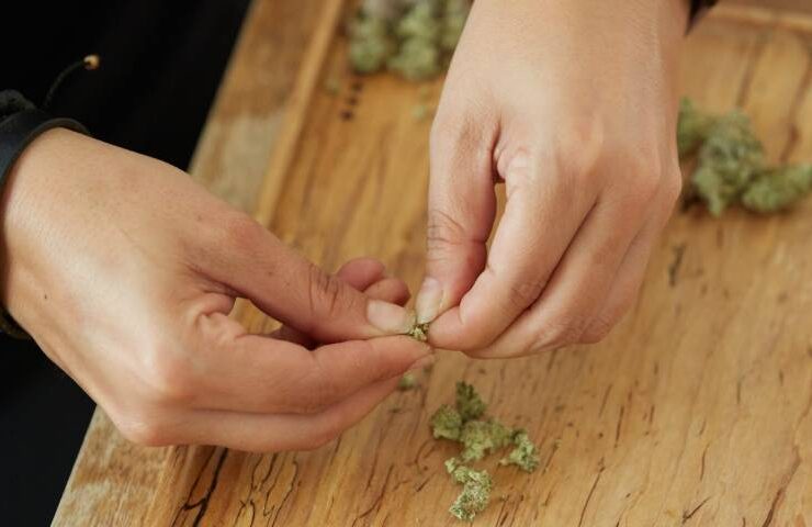 how to grind weed without a grinder