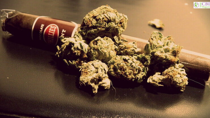 How To Smoke A Blunt