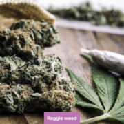 Reggie Weed