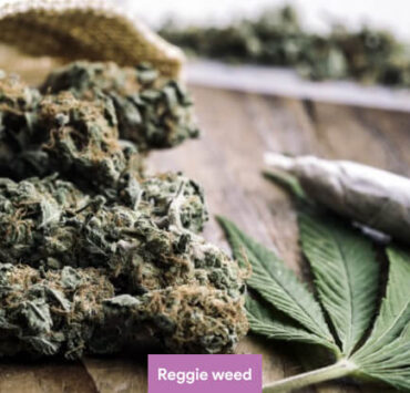 Reggie Weed