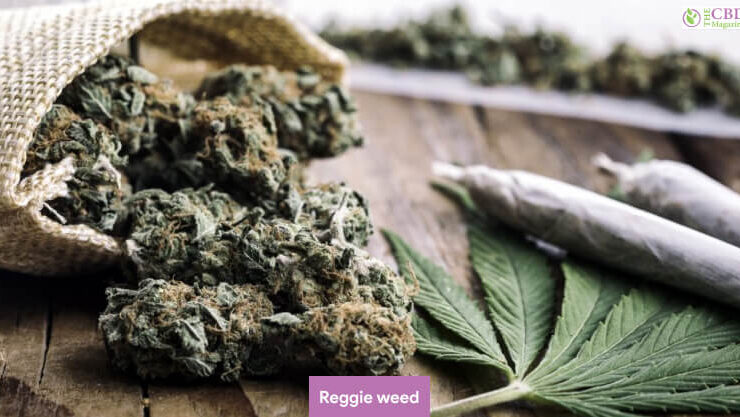 Reggie Weed