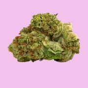 sunset sherbet strain