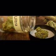 MK Ultra Strain - Everything You Need To Know & More!