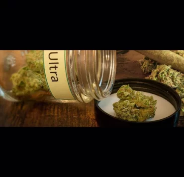 MK Ultra Strain - Everything You Need To Know & More!