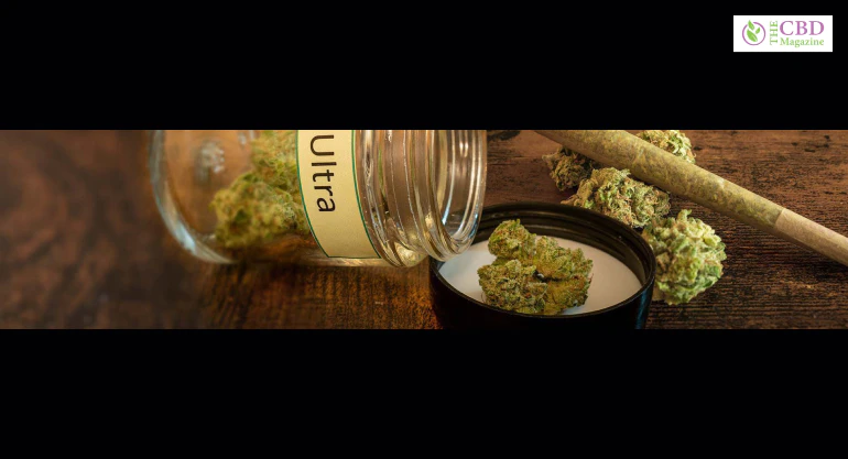 MK Ultra Strain - Everything You Need To Know & More!