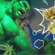 what is The Bruce Banner Strain