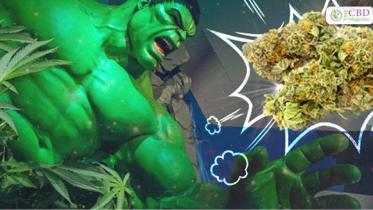 what is The Bruce Banner Strain