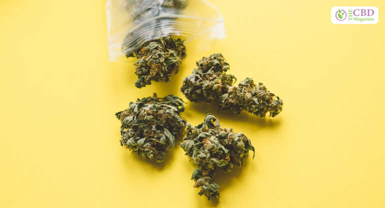 Standard Marijuana Measurements