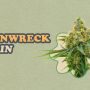 Trainwreck Strain