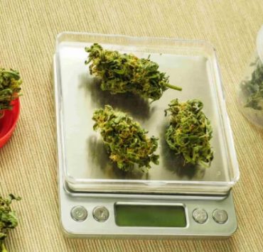 how much is a gram of weed