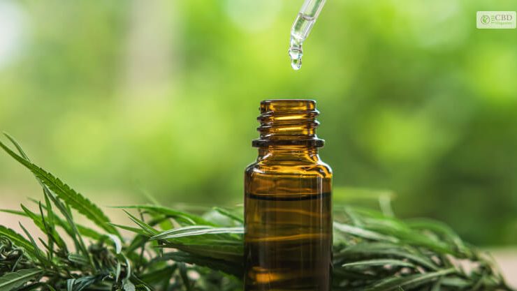 CBD oil for pain