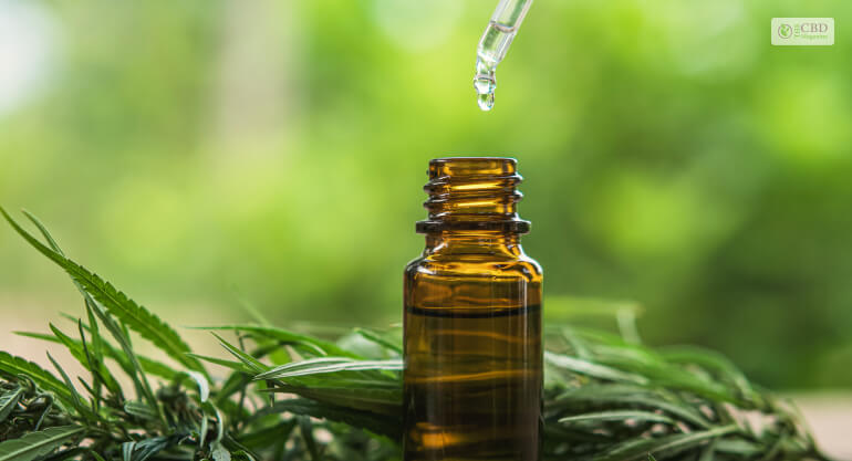 CBD oil for pain