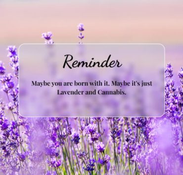 Can You Smoke Lavender