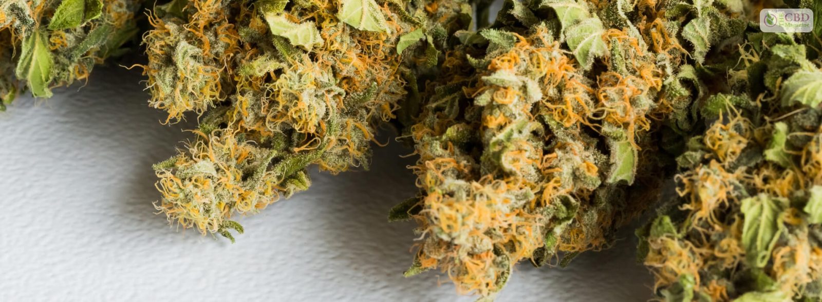 Critical Mass Strain