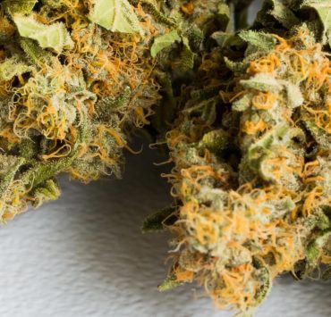 Critical Mass Strain