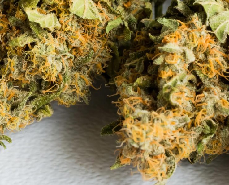 Critical Mass Strain