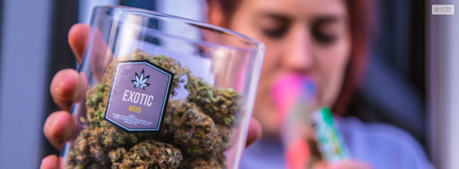 The 7 Most Exotic Weed Strains Of 2024