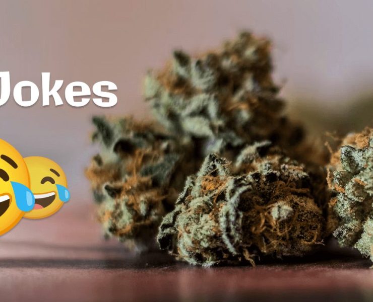 Weed Jokes