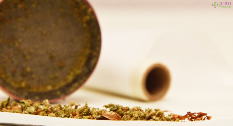 What Is The Mac 1 Strain?