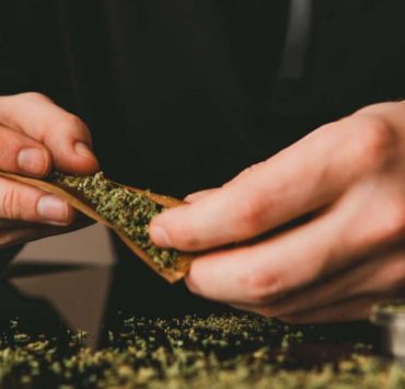 how to roll a backwood