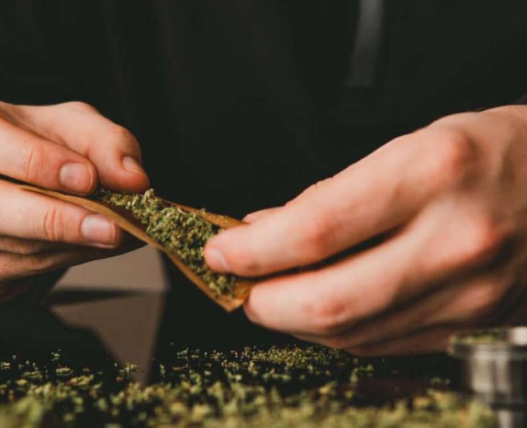 how to roll a backwood