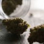 Dubs of weed