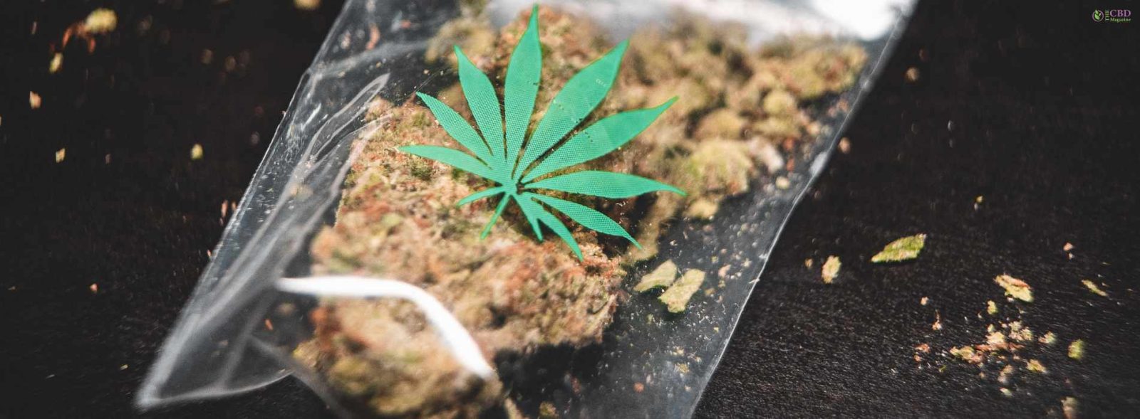 What's A Zip Of Weed