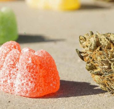 CBD Gummies For Kids