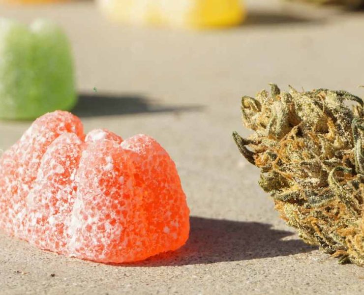 CBD Gummies For Kids