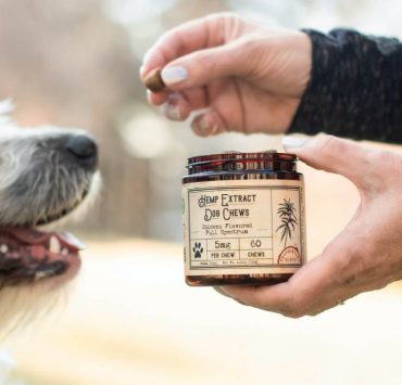 CBD Dosage For Dogs