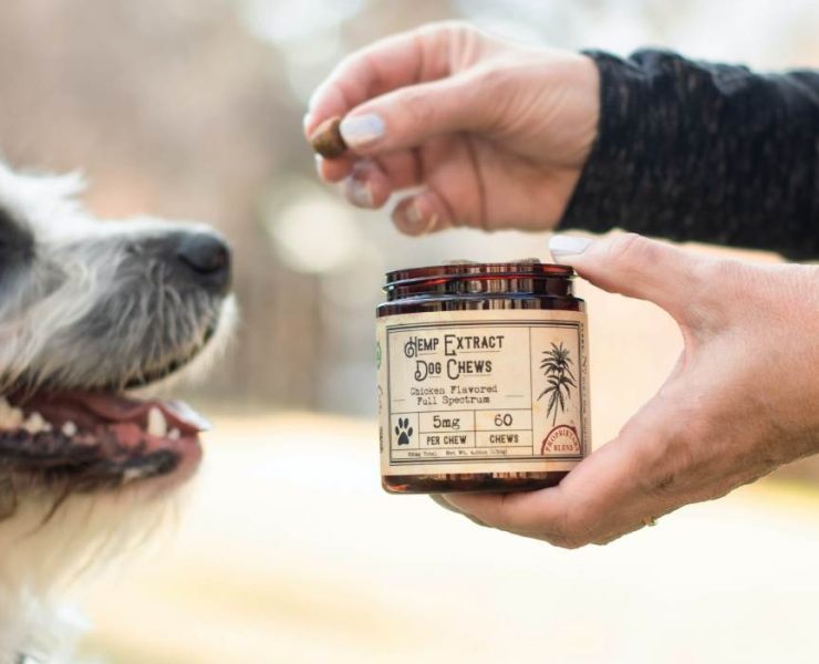 CBD Dosage For Dogs