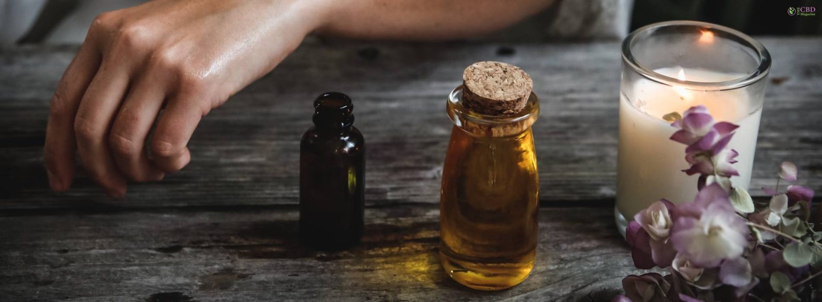 Cannabidiol Vs Hemp Oil